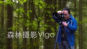 重磅!College Board官宣:2025九门AP考试将改为机考,点进查看最新机考指南