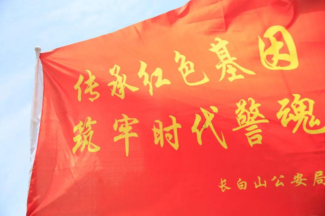 虫虫助手下载