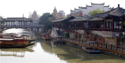 动物帮帮忙保卫家园